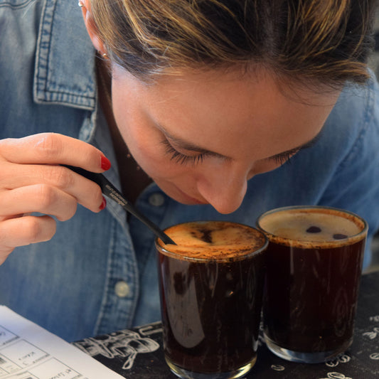 Experiencia  sensorial  con Quinto café - Quinto Café
