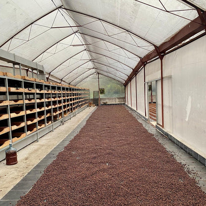COSTA RICA | MIEL - Quinto Café