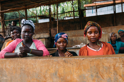 Mujeres trabajando en la selección de café en la estación de lavado Mulish, Etiopía.