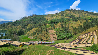 Ruanda Kivu | Turrón - Quinto Café