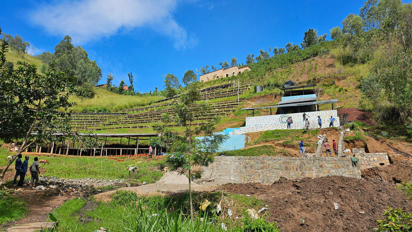 Ruanda Kivu | Turrón - Quinto Café