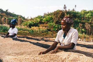 Rugali Ruanda  | Notas Miel - Quinto Café