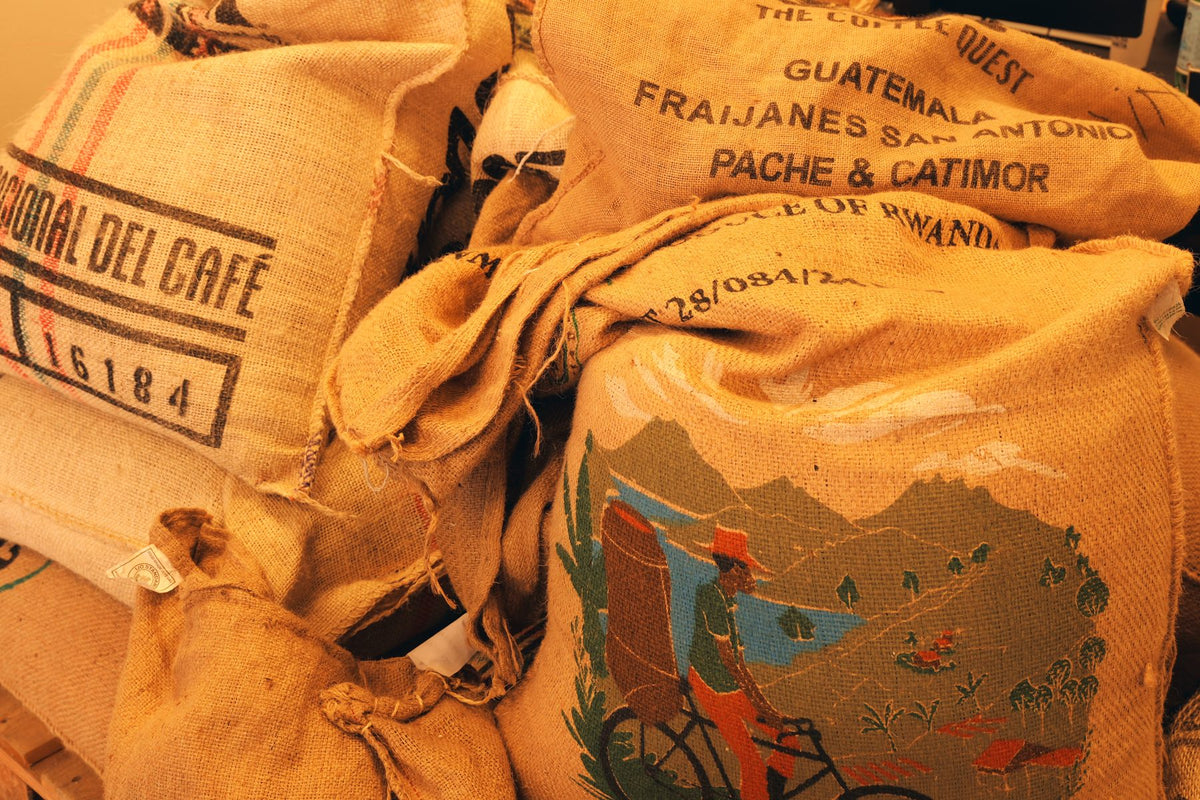 Sacks of green single-origin specialty coffee at Quinto Lab, Tres Cantos